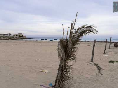 Ma le lame oggi sono �attive� solo durante le sporadiche forti piogge: non riescono quindi a portare chiss� quanta acqua sulla costa. Basti osservare arenili come Cala Pantano, a San Giorgio: la foce dell�omonima lama � ricoperta da sabbia marina, trasportata dalle correnti e non dalle acque meteoriche provenienti dall�interno